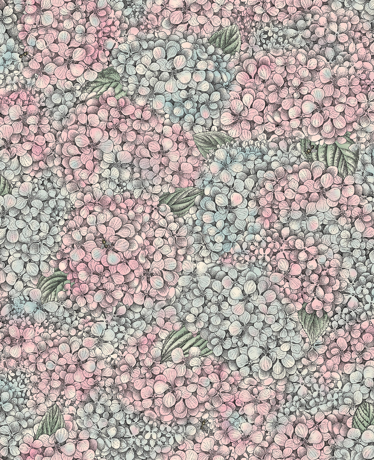 Ortensia 123/9045