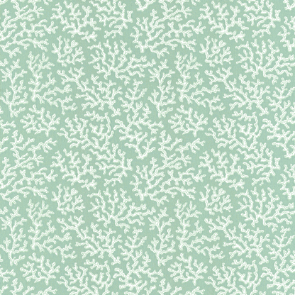 Coral 39-55