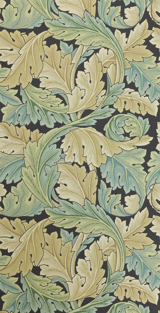 Acanthus 212550
