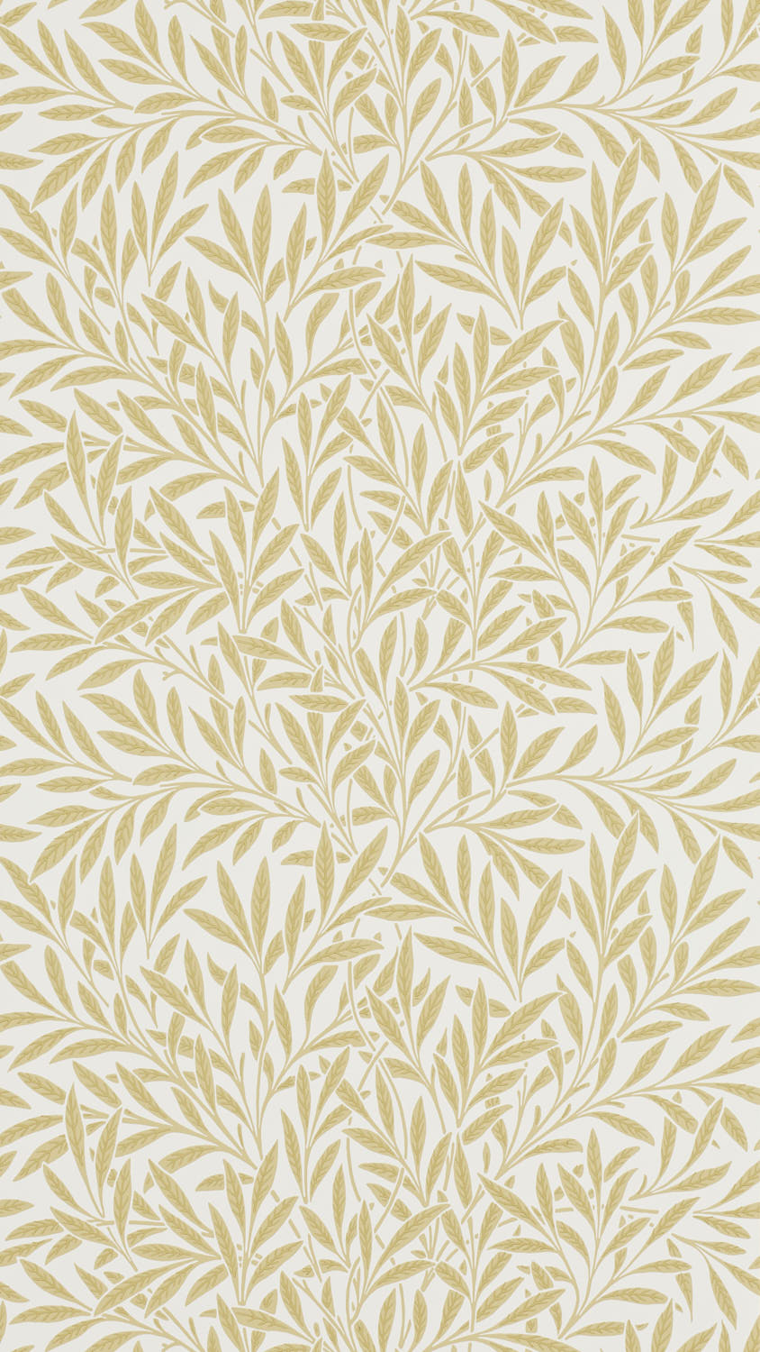 Willow 216830