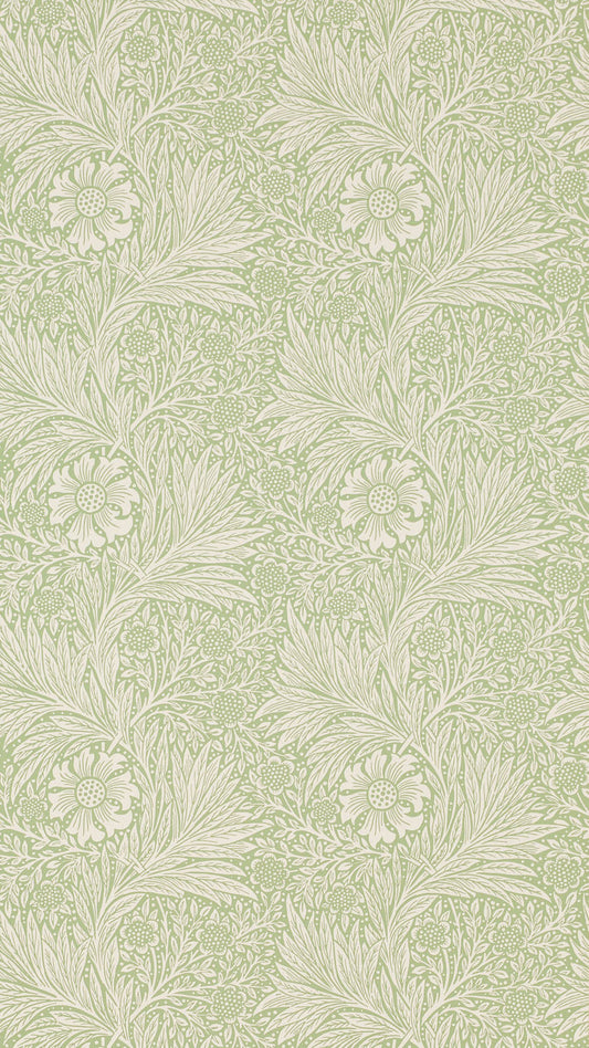 Marigold 216837