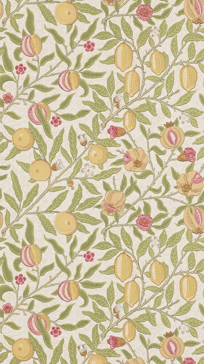 Fruit 216840