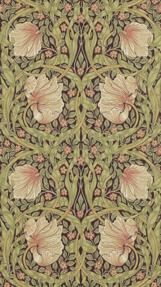 Pimpernel 216852