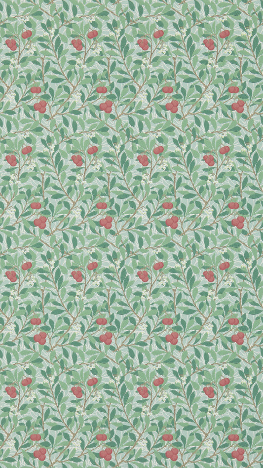 Arbutus 214719