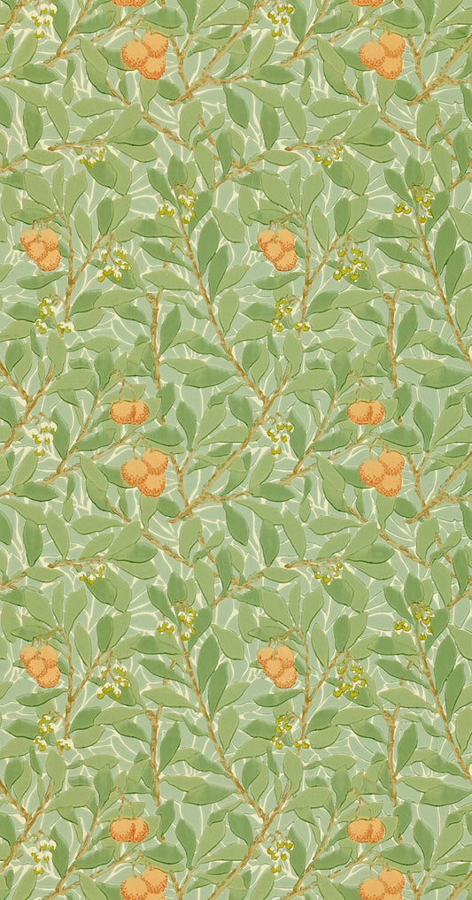 Arbutus DJA1A7103 (210408)
