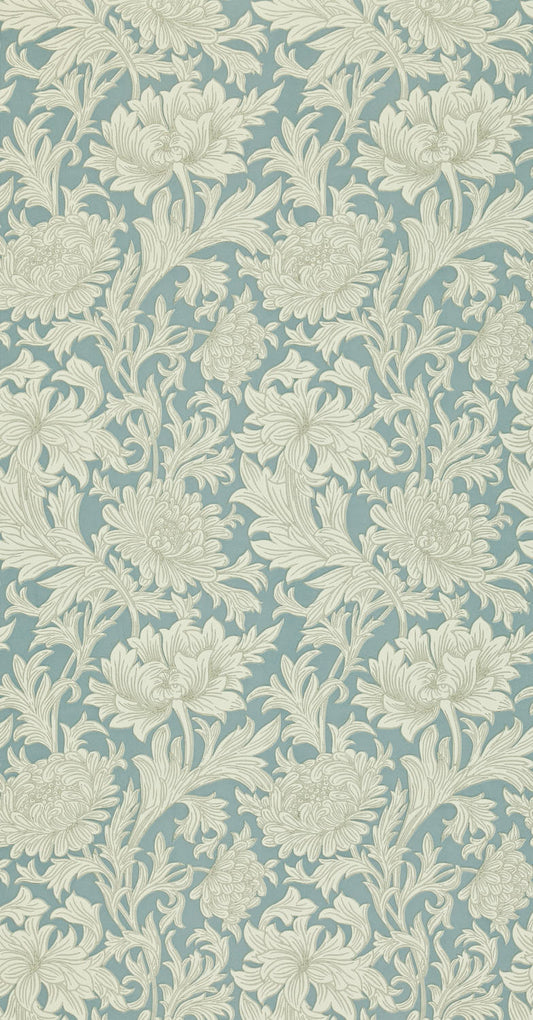 Chrysanthemum 210415
