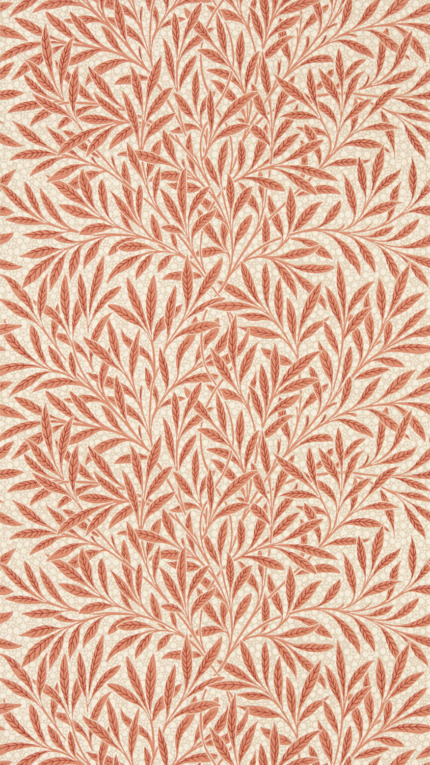 Emery‘s Willow 217186
