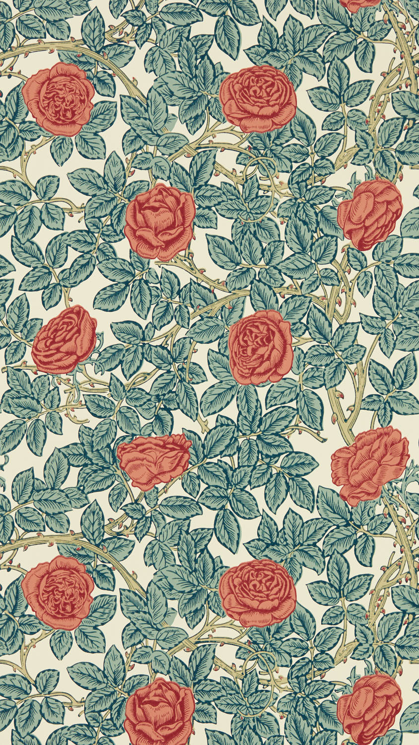 Rambling Rose 217206