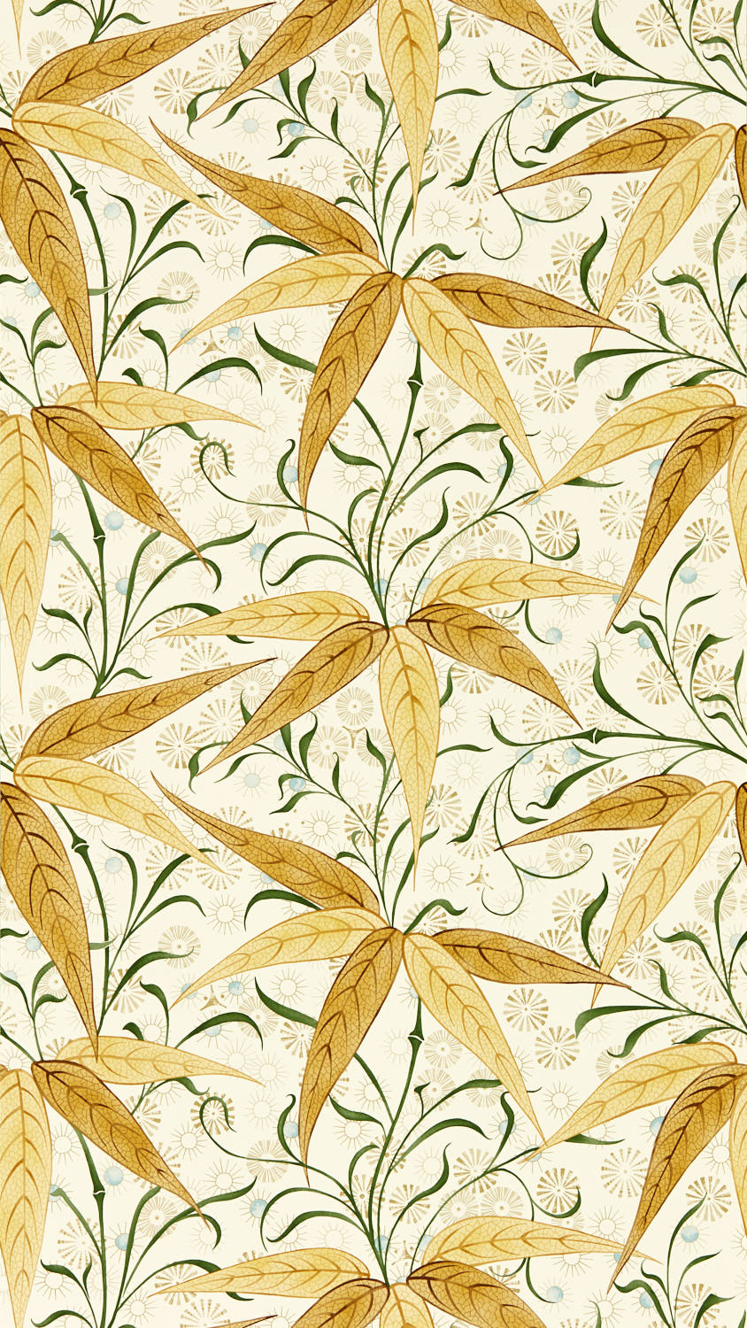 Bamboo 217358