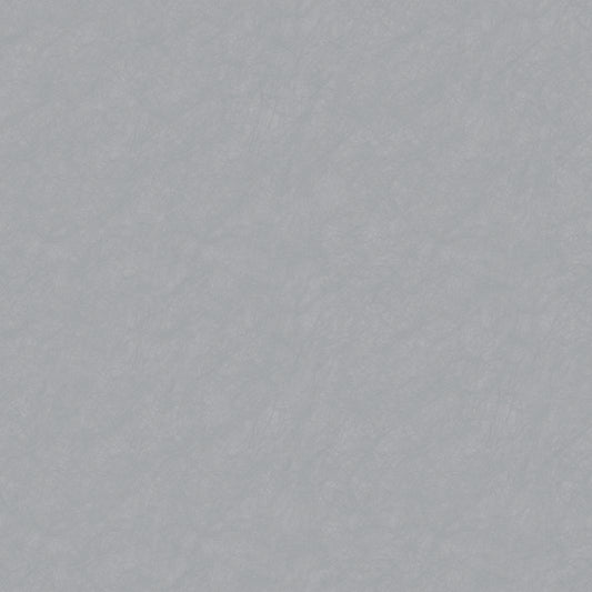 Plain Texture MX88134