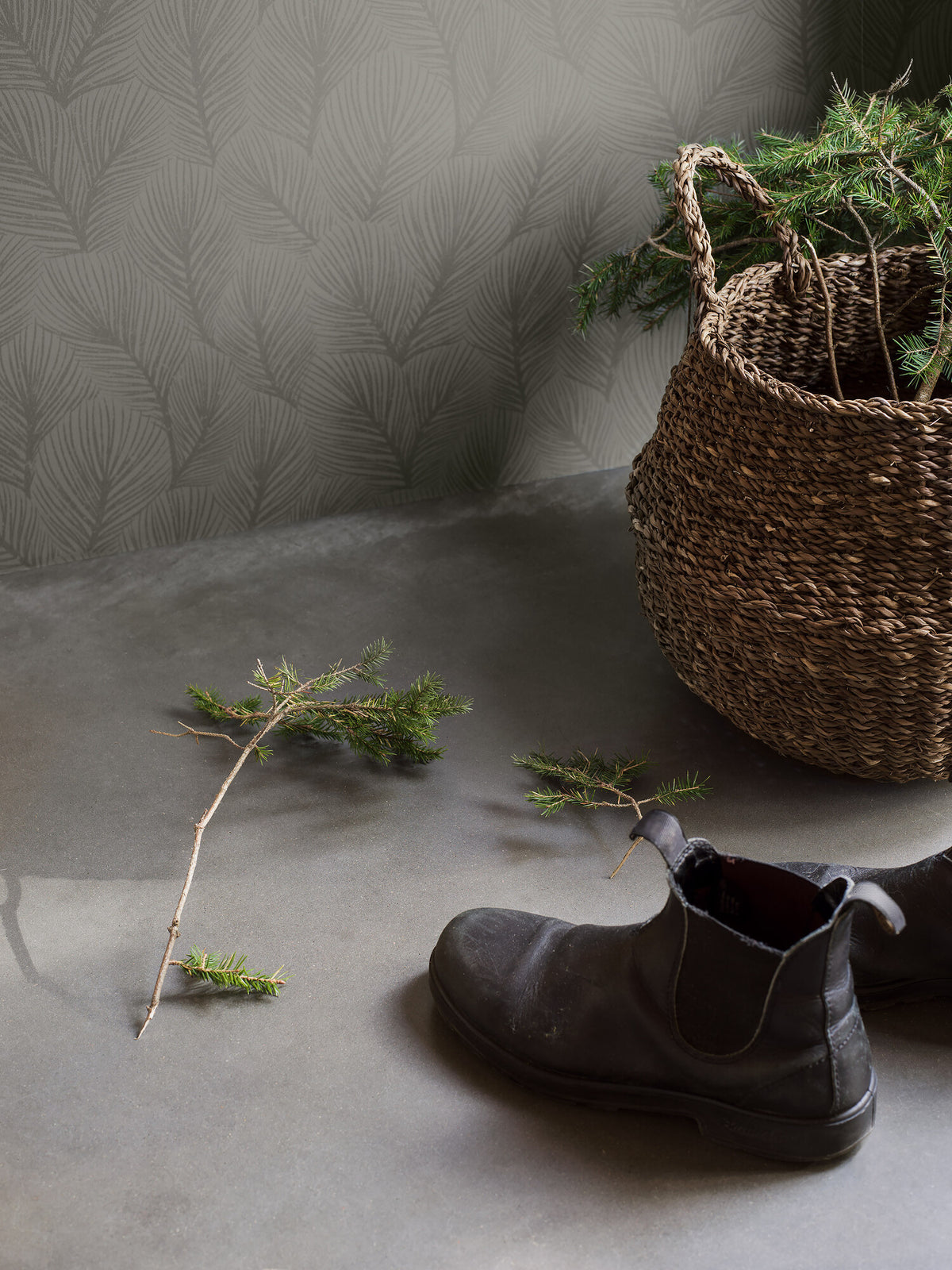 Pine Tree 4704