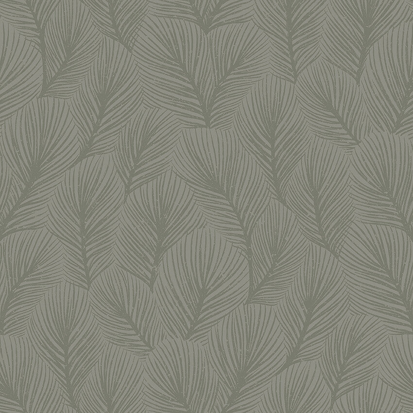 Pine Tree 4704