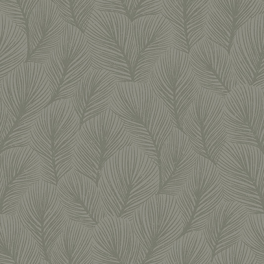 Pine Tree 4704