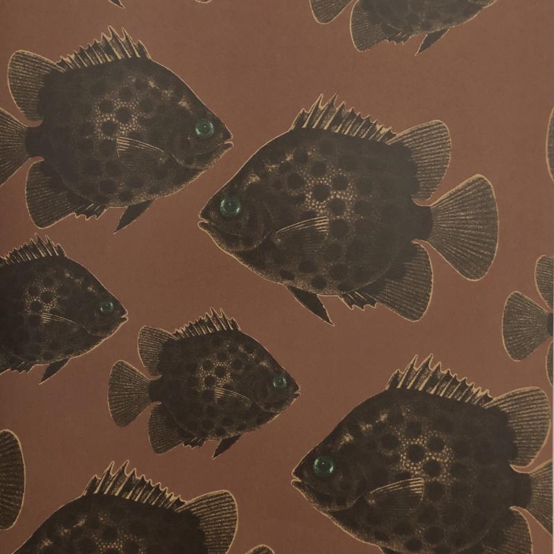 Håkan, Brown 1340